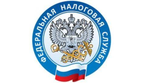 Оплатить налоги можно из дома Уполномоченный по правам человека в Калужской области