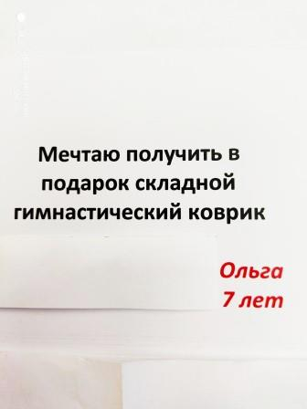 Уполномоченный принял участие в благотворительной акции "Елка желаний" Уполномоченный по правам человека в Калужской области