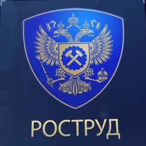 Роструд разъяснил, куда обращаться, если есть вопросы или жалобы, связанные с порядком сохранения рабочих мест за мобилизованными сотрудниками Уполномоченный по правам человека в Калужской области