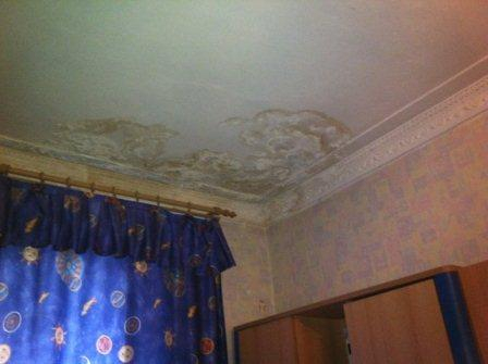 Что делать, если крыша протекает? Уполномоченный по правам человека в Калужской области