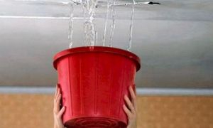 Протекает крыша? Обращайтесь к Уполномоченному! Уполномоченный по правам человека в Калужской области