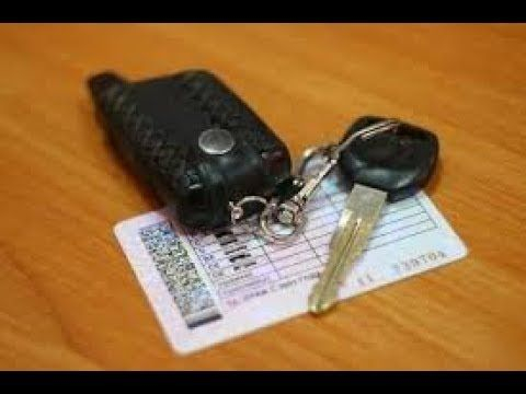 Участников СВО не будут лишать водительских прав! Уполномоченный по правам человека в Калужской области