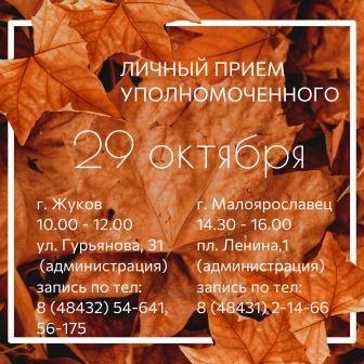 ЛИЧНЫЙ ПРИЕМ УПОЛНОМОЧЕННОГО 29 ОКТЯБРЯ 2024 ГОДА Уполномоченный по правам человека в Калужской области