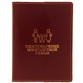 Многодетная или нет? Уполномоченный по правам человека в Калужской области