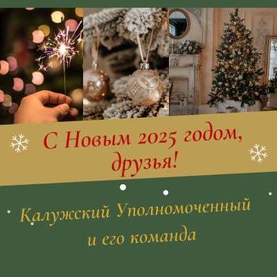 ДО ВСТРЕЧИ В НОВОМ ГОДУ! Уполномоченный по правам человека в Калужской области