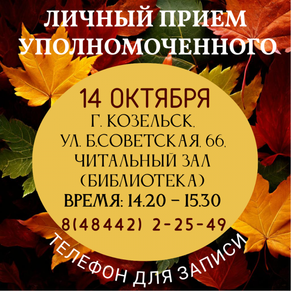 Козельск - Уполномоченный едет к вам! Уполномоченный по правам человека в Калужской области