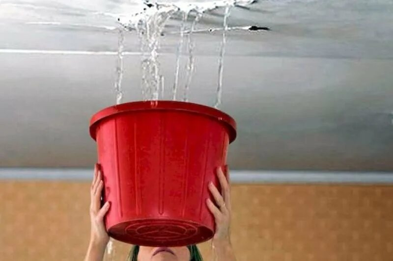 Крыша без угроз: Уполномоченный помог разобраться с аварийной крышей Уполномоченный по правам человека в Калужской области